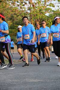 BIB: 388, 8428, 8725, 9389
                            <button type="button" onclick="openModal(3501983)" class="btn btn-primary btn-sm float-right btn-popup" data-toggle="modal" data-target=".modal-high-quality">
                        <i class="fas fa-shopping-cart"></i> Add to Cart
                    </button>
                                            <button type="button" onclick="isThisMe(3501983, true)" class="btn btn-success btn-sm float-right btn-popup btn-isme hidden" data-toggle="tooltip" data-placement="bottom" title="นี่คือรูปของคุณใช่ไหม คลิกที่นี่เพื่อเอาเข้าอัลบั้ม">
                        <i class="fas fa-plus"></i> Add to album
                    </button>
                    <button type="button" onclick="isThisMe(3501983, false)" class="btn btn-warning btn-sm float-right btn-popup btn-isnotme hidden">
                        <i class="fas fa-ban"></i> Remove from album
                    </button>